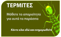 μα΄θετε τα πάντα για τους τερμίτες 